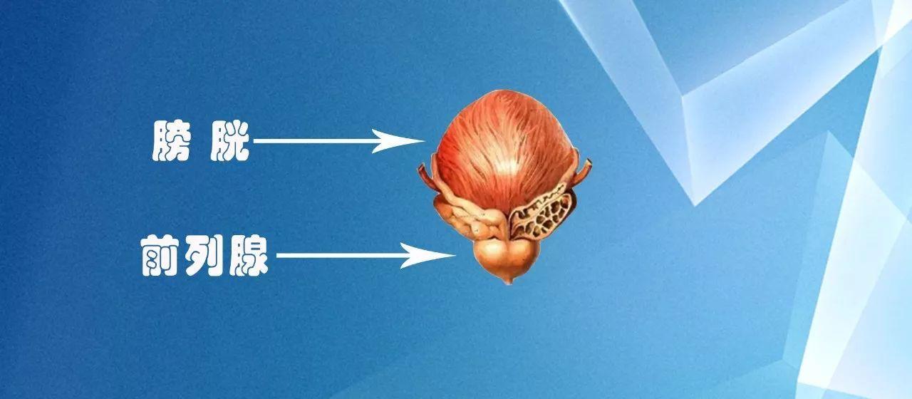 临沂男科